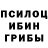 Псилоцибиновые грибы Magic Shrooms Zanderis