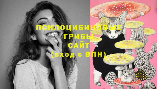 МДПВ Саяногорск