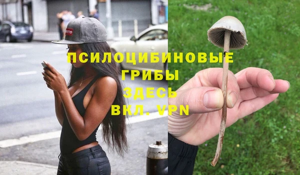 соль ск Бугульма