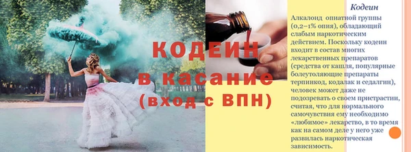 скорость Бородино