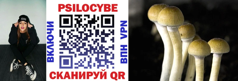 Галлюциногенные грибы GOLDEN TEACHER  Киселёвск 